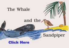 The Whale and the Sandpiper